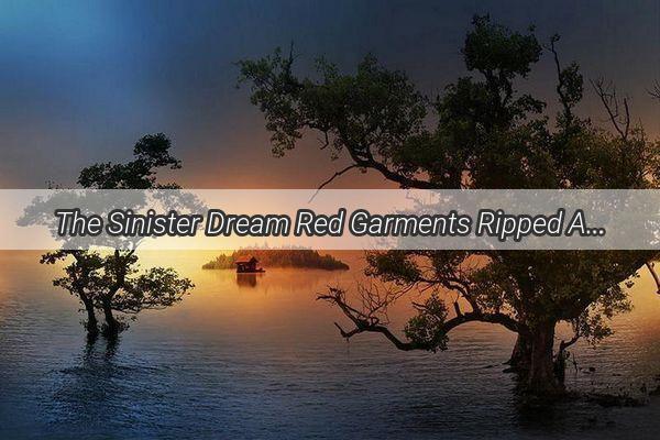 The Sinister Dream Red Garments Ripped Apart  A Haunting Tale of Hidden Messages